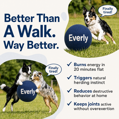 Everly™ Herding Ball