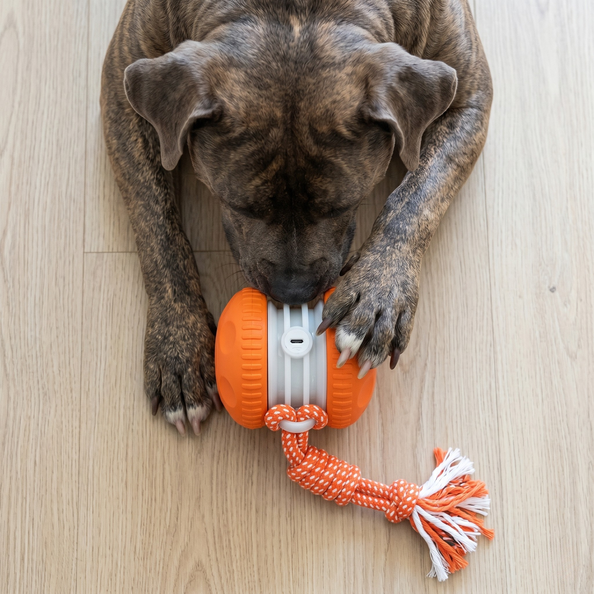 Everly Viral Rope Roller