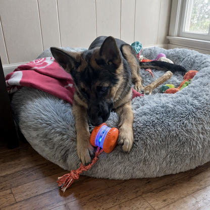 Everly Viral Rope Roller